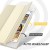 iPad Mini 1/2/3/4/5 Smart Case |Gold