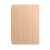iPad Pro 10.5 Inch Smart Case Cover | Gold