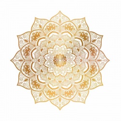 Golden Silence Pop Socket