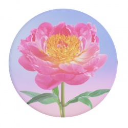 Blossom II PopGrip